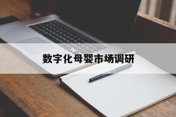 张家口市数字化母婴市场调研(数字化母婴市场调研报告)